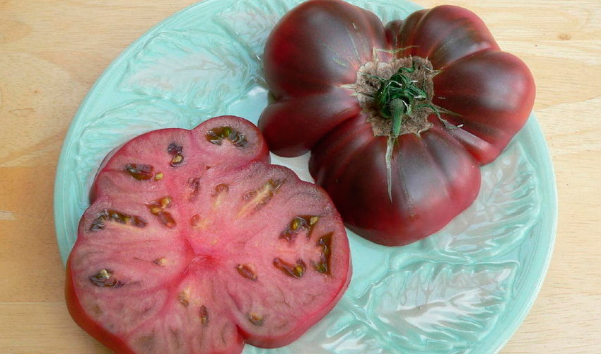 Tomate Cherokkepurple