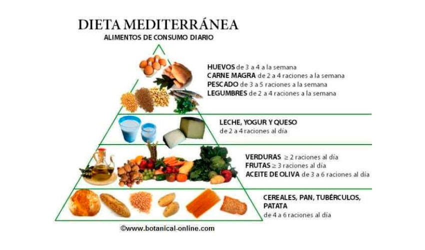 Pirámide de la dieta mediterránea