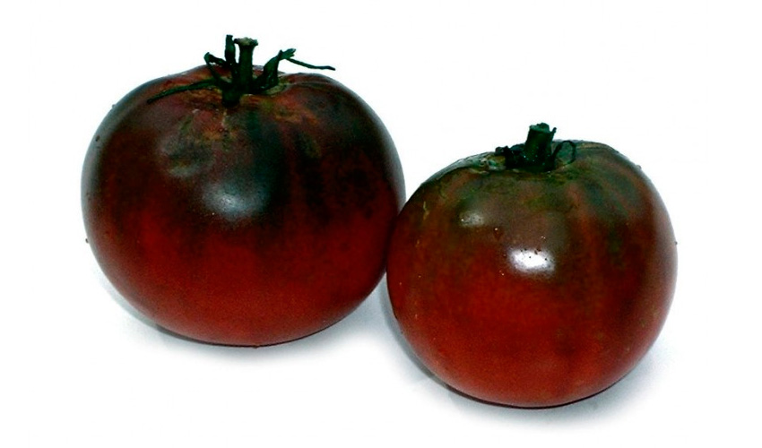 Tomate Krim Negro