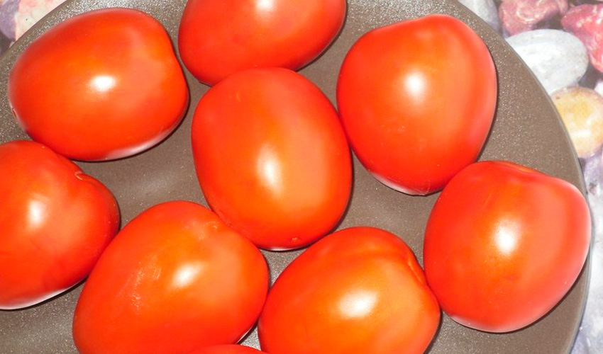 76 variedades de Tomates del mundo Tomate-R%C3%ADo-Grande