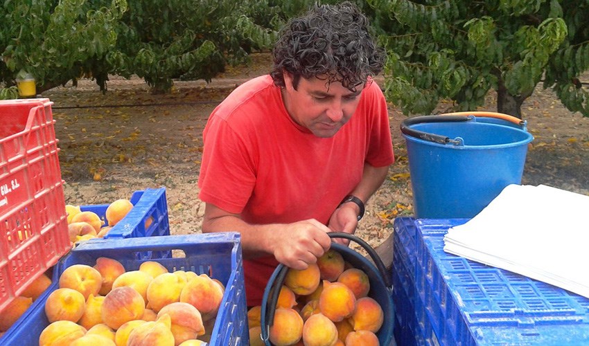 Economía rural en el V Curso Microvinya con Fruta de La Sarga