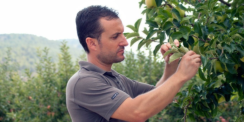 Frutas de temporada: El por qué del proyecto de Fruta de La  Sarga