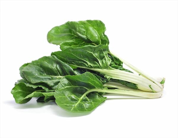 Comprar Acelgas Frescas Ecológicas directas del Agricultor | EcoSarga Acelgas