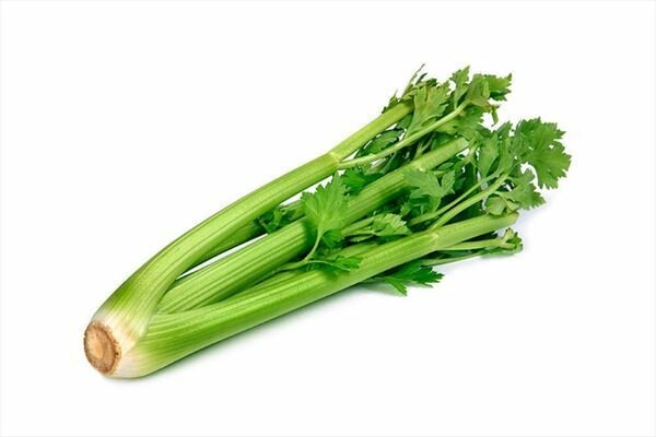 Comprar apios ecológicos directos del agricultor | EcoSarga Apios