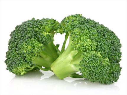 Comprar brócoli ecológico fresco directo Agricultor | EcoSarga