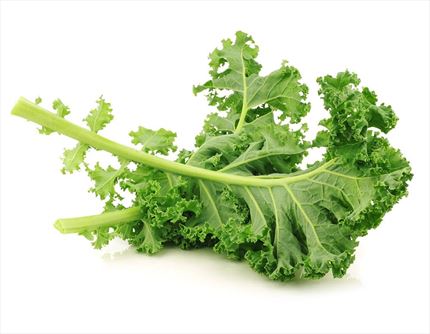Comprar Col Kale fresca ecológica  | EcoSarga