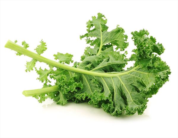 Col Kale ecológica