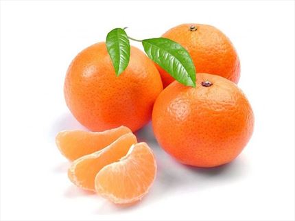 Comprar mandarina clemenules ecológica online en EcoSarga