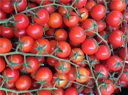Comprar tomate cherry ecológico | EcoSarga