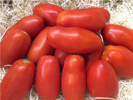 Comprar Tomate Pera Ecológico Directo Agricultor