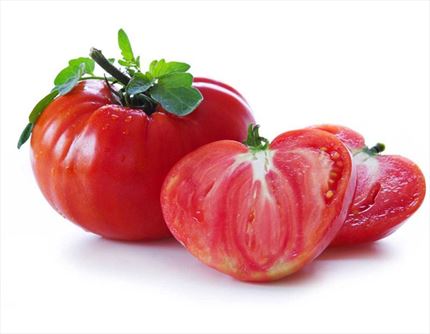 Comprar Tomate Valenciano Ecológico directo del Agricultor | EcoSarga